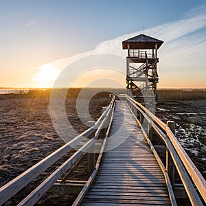 wooden boardwalk with bird watch tower in early morning