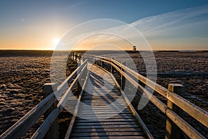 wooden boardwalk with bird watch tower in early morning