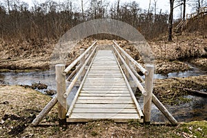 wooden boardwalk with bird watch tower in early morning