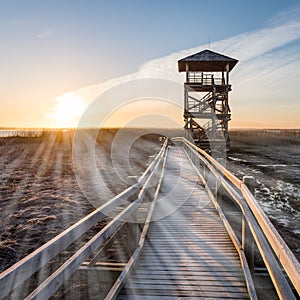 wooden boardwalk with bird watch tower in early morning - light