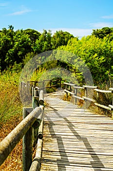 Wooden boardwalk in the dunes leading to the sandy beach, the pa