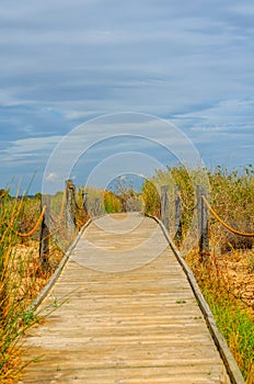 Wooden boardwalk in the dunes leading to the sandy beach, the pa