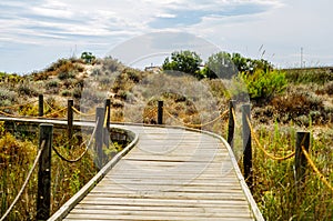 Wooden boardwalk in the dunes leading to the sandy beach, the pa