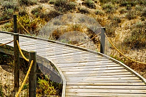 Wooden boardwalk in the dunes leading to the sandy beach, the pa