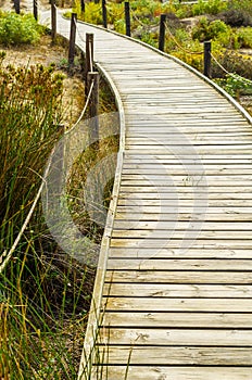 Wooden boardwalk in the dunes leading to the sandy beach, the pa