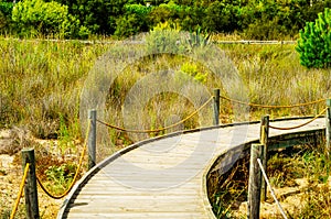 Wooden boardwalk in the dunes leading to the sandy beach, the pa