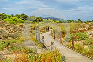 Wooden boardwalk in the dunes leading to the sandy beach, the pa