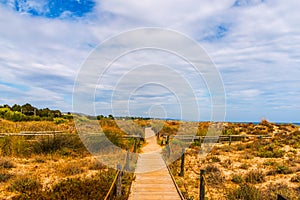 Wooden boardwalk in the dunes leading to the sandy beach, the pa