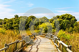 Wooden boardwalk in the dunes leading to the sandy beach, the pa