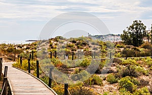 Wooden boardwalk in the dunes leading to the sandy beach, the pa