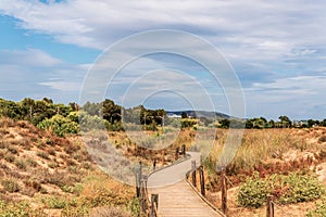 Wooden boardwalk in the dunes leading to the sandy beach, the pa