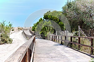 Wooden boardwalk leading through sand dunes to Sea