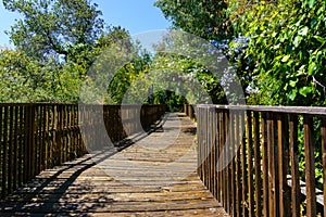 Wooden boardwalk, part of the Los Gatos Creek trail in the town of Los Gatos, south San Francisco bay area