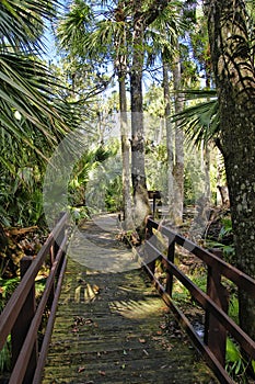 Wooden boardwalk in the recreation area in the Ocala National Forest located in Juniper Springs Florida photo