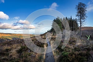 Wooden boardwalk on the top of a mountain in Glendalough, Wicklow Mountains, Ireland