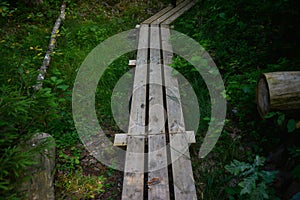 Wooden boardwalk for tourists and pedestrians in the forest in t