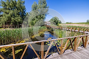 Wooden boardwalk in the Visitors Centre, KopaÄki rit Nature Park