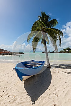 Wooden boat on the beach under a palm tree - the Gosier in Guadeloupe