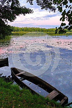 A wooden boat in a quiet pond overgrown with water-lilies standing near the green shore