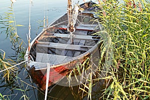 Wooden boat in the reeds