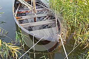 Wooden boat in the reeds