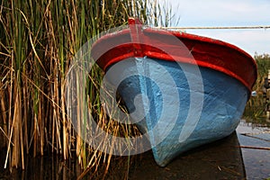 Wooden boat and reeds on lake