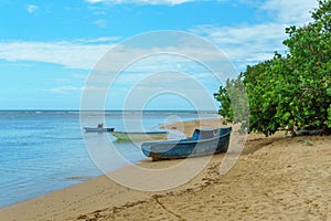 Wooden boats on the beach with green plants