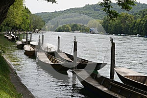 Wooden boats called Weidling in German language moored in a row along riverbank on Rhine river