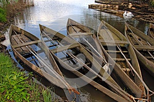 Wooden boats in a swamp