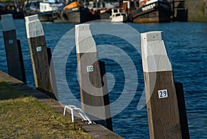 Wooden bollards in the water with different numbers near the harbor of Rotterdam