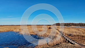 Wooden Bords Trail Through the Kaniera Lake Reeds Aerial Spring Shot Lapmezciems, Latvia.