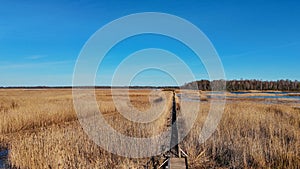 Wooden Bords Trail Through the Kaniera Lake Reeds Aerial Spring Shot Lapmezciems, Latvia.