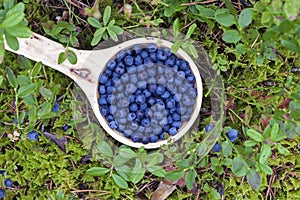 Wooden bowl of blueberries