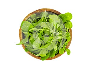 Wooden bowl with fresh green leaves of cornsalad