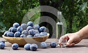 Wooden bowl of garden plums and plum brandy drink in shot glasses on old wooden table with a tablecloth, copy space