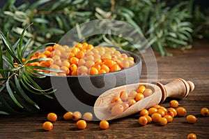 Wooden bowl and scoop of ripe sea buckthorn berries