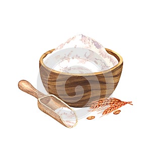 Wooden bowl with wheat flour, wooden scoop and grain and spikelets. Watercolor hand drawn illustration, isolated on