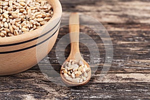 Wooden bowl and wheat grain