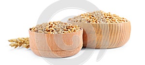 Wooden bowls with wheat grains and spikes on white background