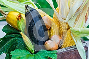 Wooden box with autumn harvest farm vegetables and root crops. Healthy and organic food background. Concept of Healthy Fresh Food