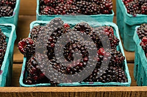 Wooden box with baskets of Marionberries