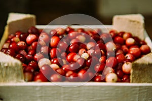 Wooden box with beautiful red cranberry