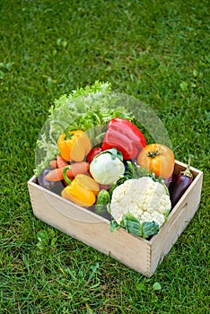 Wooden box or crate full of freshly harvested vegetables on a green grass background