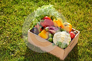 Wooden box or crate full of freshly harvested vegetables on a green grass background