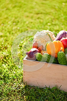 Wooden box or crate full of freshly harvested vegetables on a green grass background