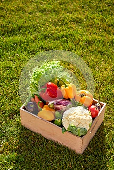 Wooden box or crate full of freshly harvested vegetables on a green grass background