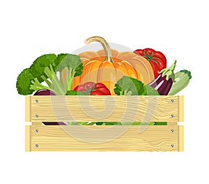Wooden box with different fresh vegetables Isolated on white background. Vector illustration