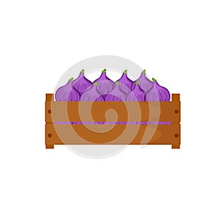 Wooden box with figs vector illustration isolated on white background.