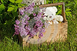 Wooden box with flowers