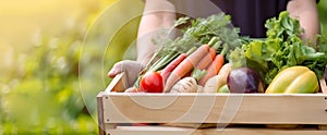 Wooden box with fresh farm vegetables in man\'s hands. Concept of bio products, bio ecology, grown by yourself, vegetarians.